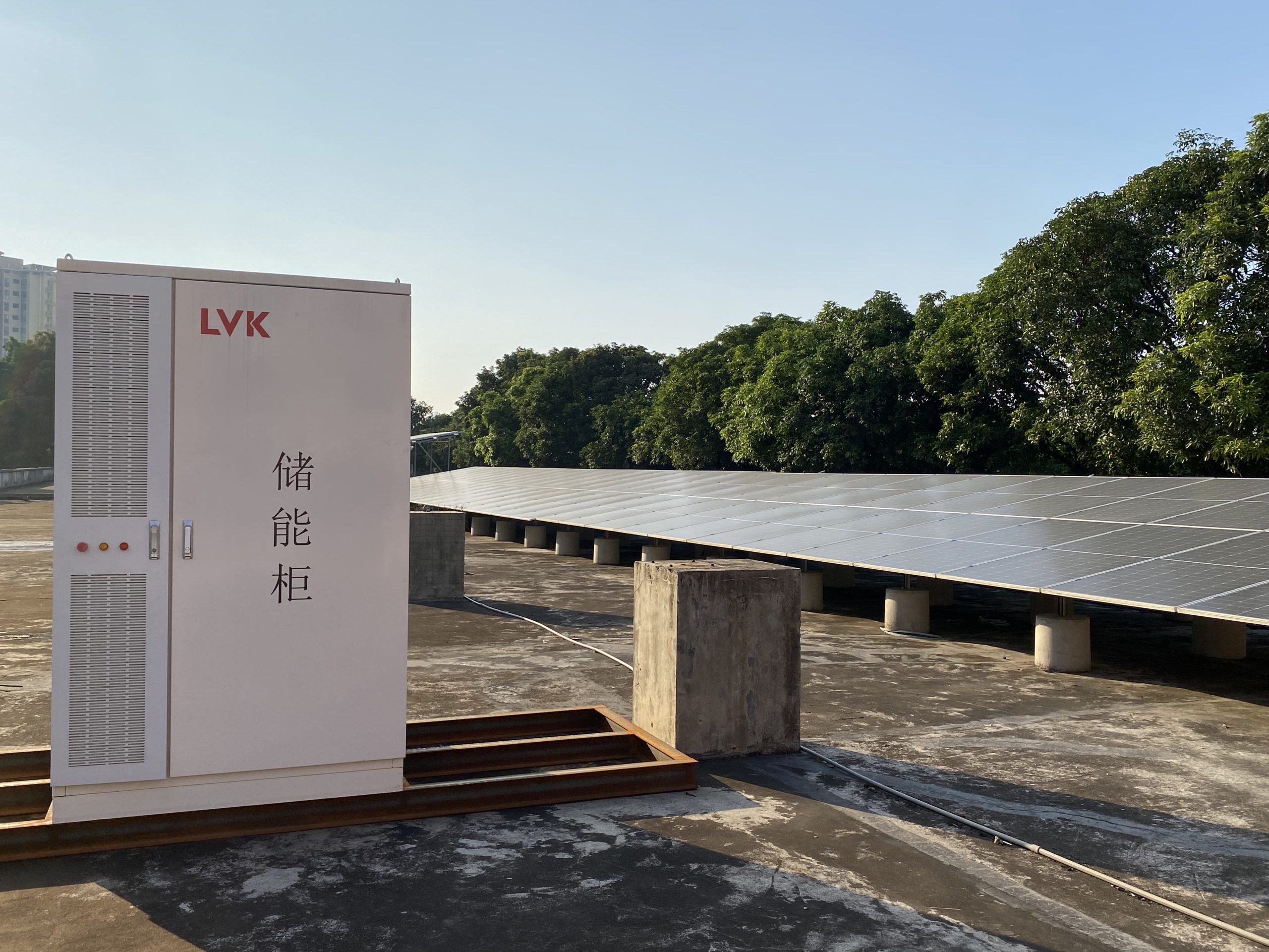 Energy Storage Systems